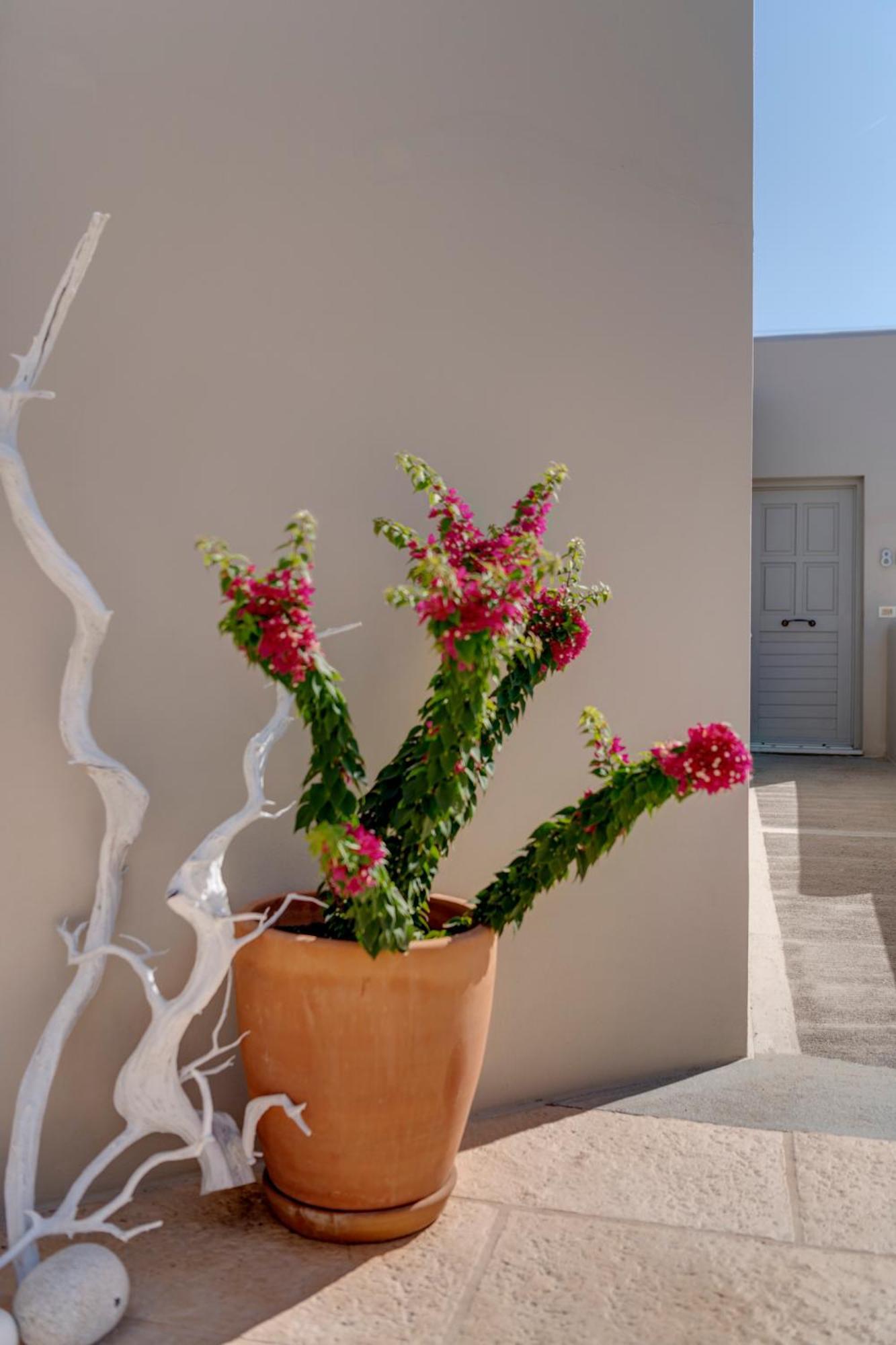 Kouros Art Hotel (Adults Only) Stelida  Buitenkant foto